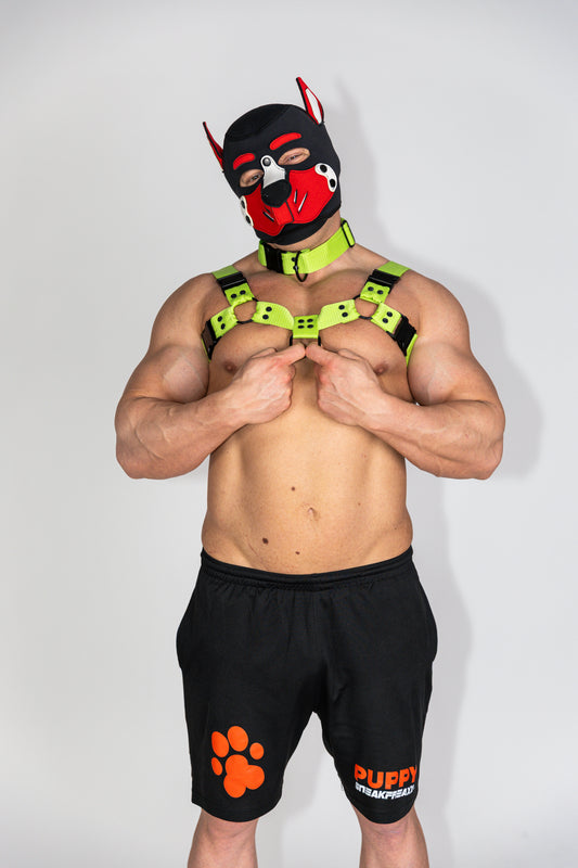 Zöld Bulldog hám piros puppy maszkkal és fekete fém szerelvényekkel - FoxHeaven Studio