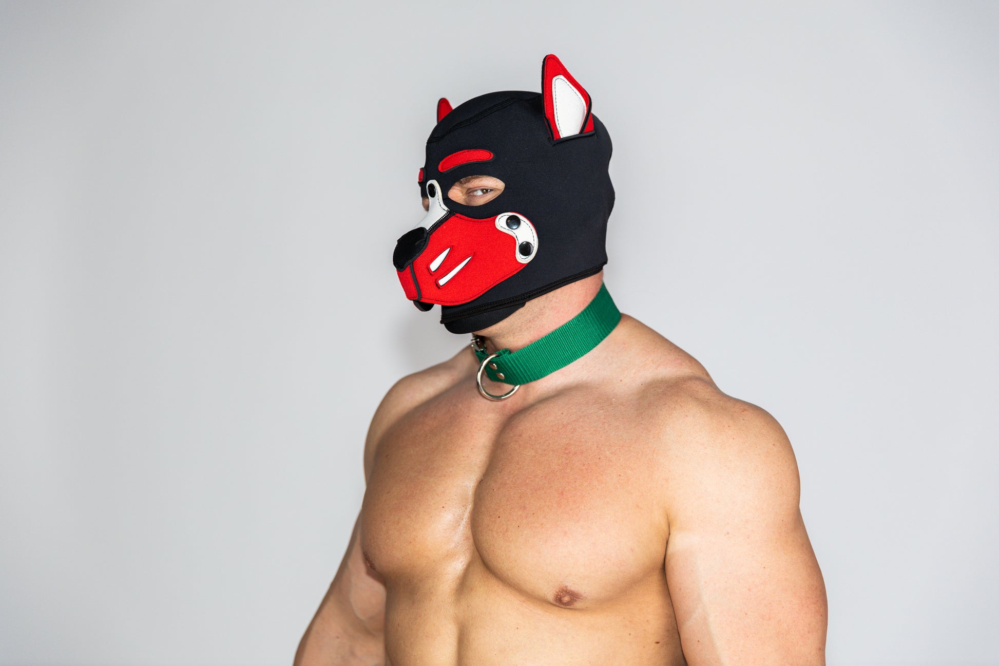 Zöld polipropilén szegecselt nyakörv ezüst fém csattal a modellen - FoxHeaven Studio